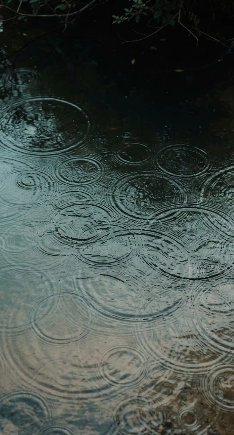 Overlapping ripples across still water catching low light