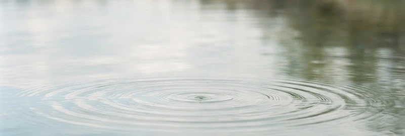 Still water with gentle ripples reflecting soft light