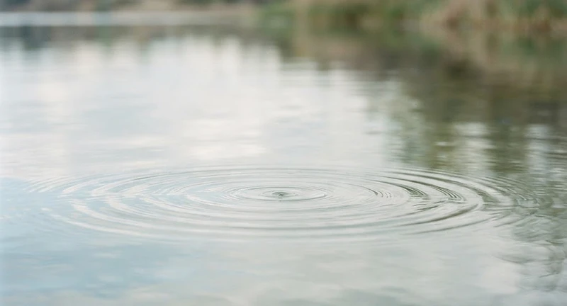 Calm water ripples at dusk