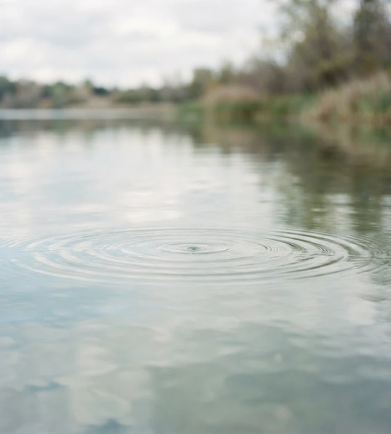 Still water at dawn with gentle ripples