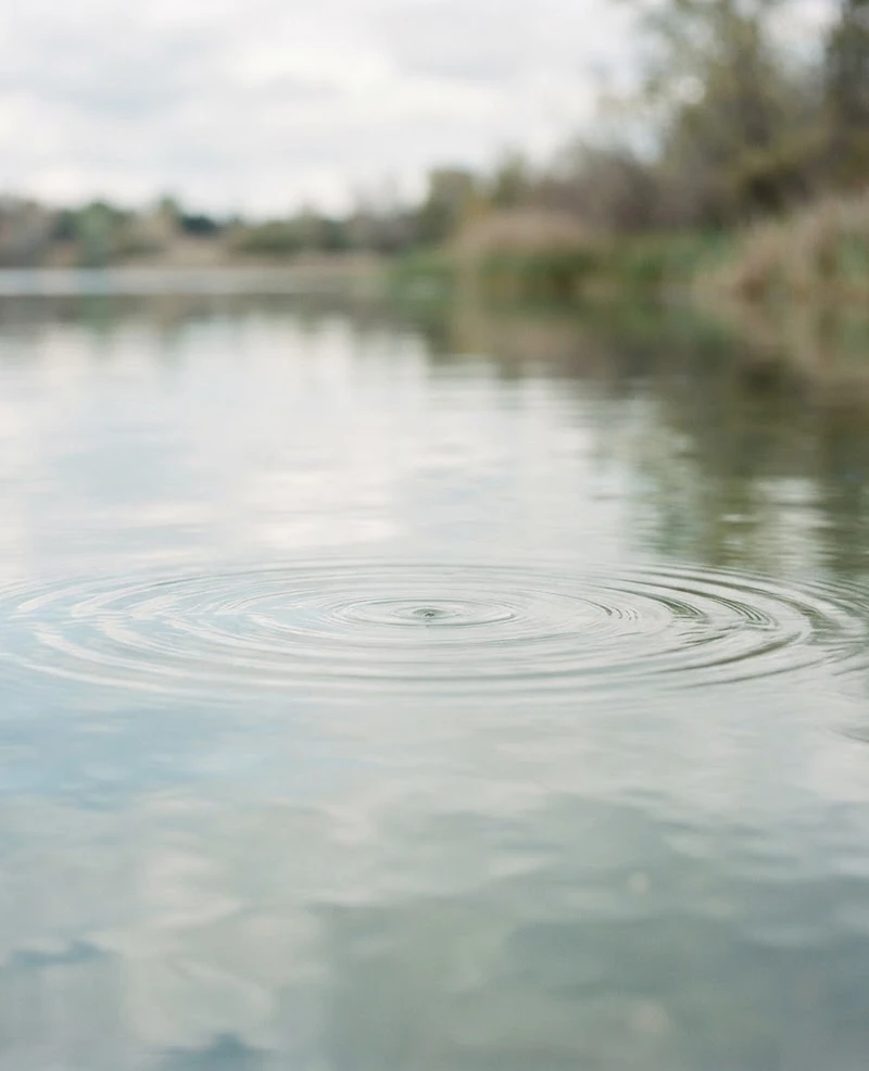 Still water with gentle ripples spreading outward