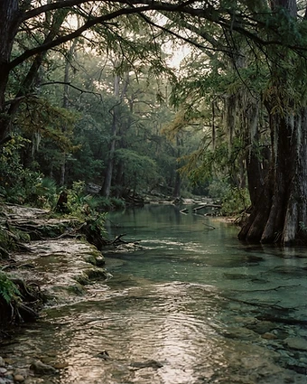 Soft morning light on slow-moving creek water