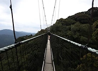 Help Me Explore