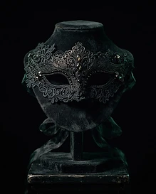 The Seer's Veil — Lace Masquerade Mask