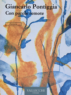 Copertina di Con parole remote
