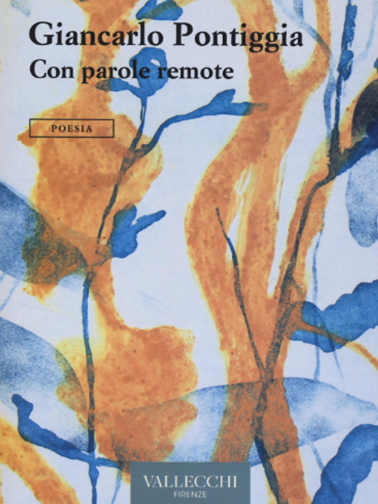 Copertina di Con parole remote