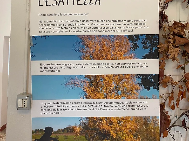 Studentessa che scrive nel quaderno all'aperto, nel giardino della scuola