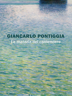 Copertina di La materia del contendere