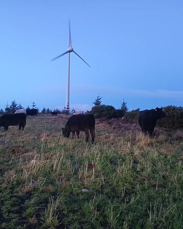 The Turbines at Work
