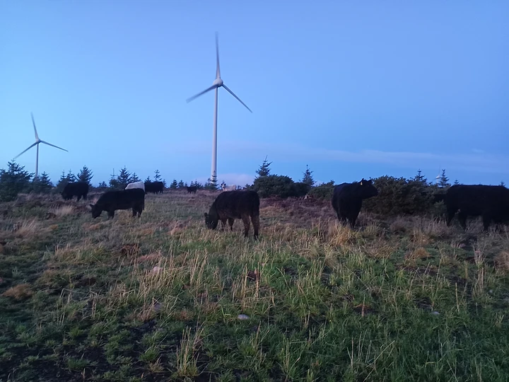 Six Wind Turbines — Massively carbon negative