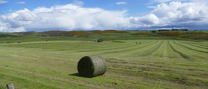 A mown hay field with bales beneath the Ochil Hills
