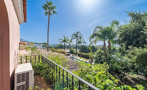 Terrace with views over the palms and garden