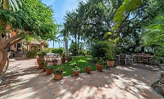 Terracotta patio and garden beneath the trees