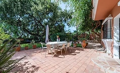 Outdoor dining in the shade of the tree