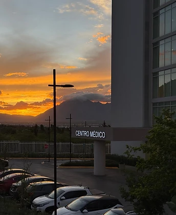 Galería