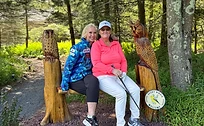 Exploring the Natural Beauty of the Pocono Mountains