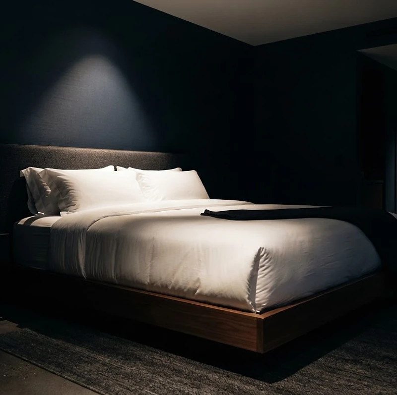Premium bedroom awaiting specialized bed bug treatment