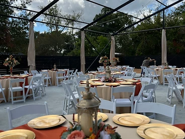 Reception under the canopy