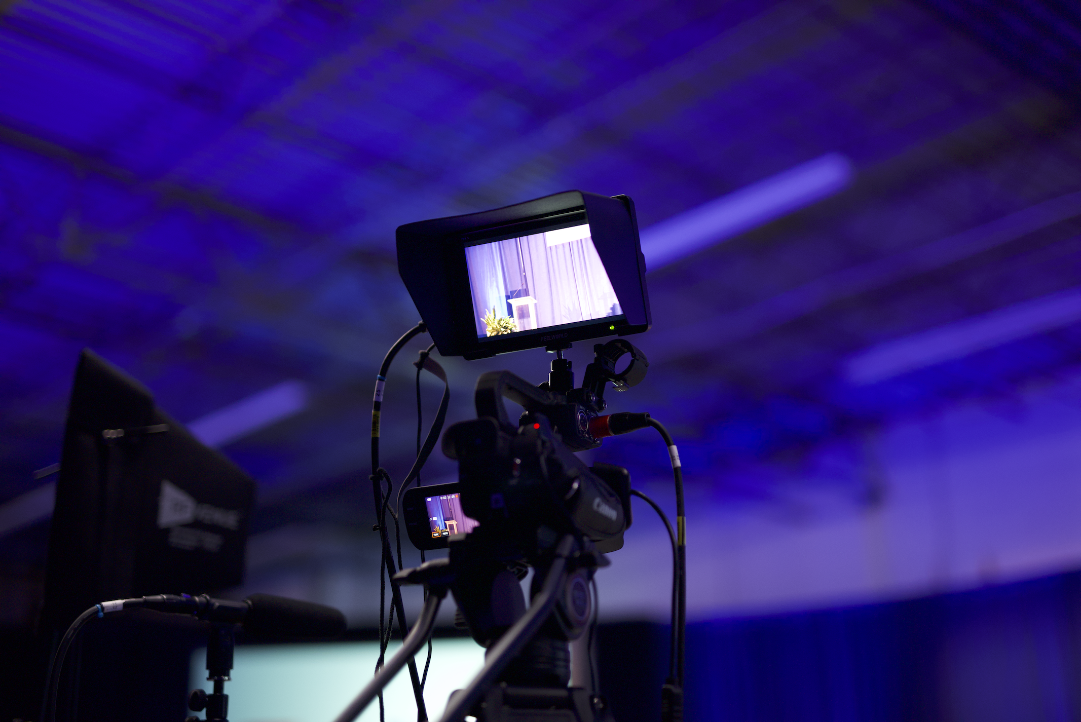 Video & Livestream