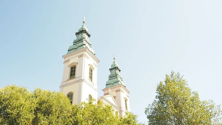 Kirche mit grünen Kuppeltürmen im Servitenviertel, Alsergrund Wien