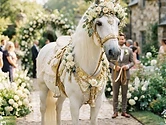 Wedding Horse