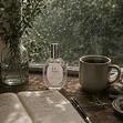 First Drizzle 2