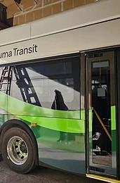 Transit Bus Fleet completed wrap