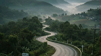 Wellness Hills 1269+