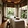 Origan Spa