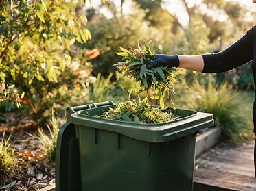Rubbish Removal