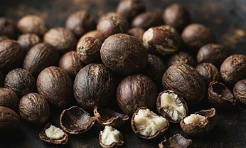 Shea Nuts