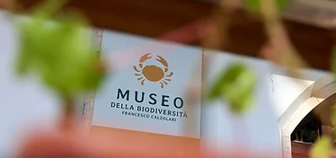 Museo della biodiversità