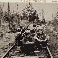 Animal Tracks