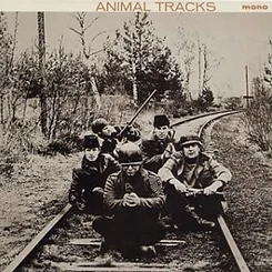 Animal Tracks