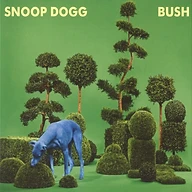BUSH