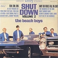 Shut Down, Volume 2