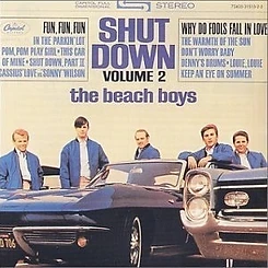 Shut Down, Volume 2