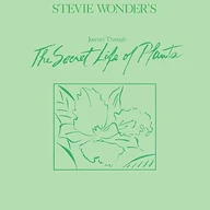 Stevie Wonder’s Journey Through the Secret Life of Plants