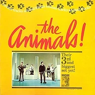 Animal Tracks