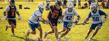 THE ALLIANCE LACROSSE LEAGUE