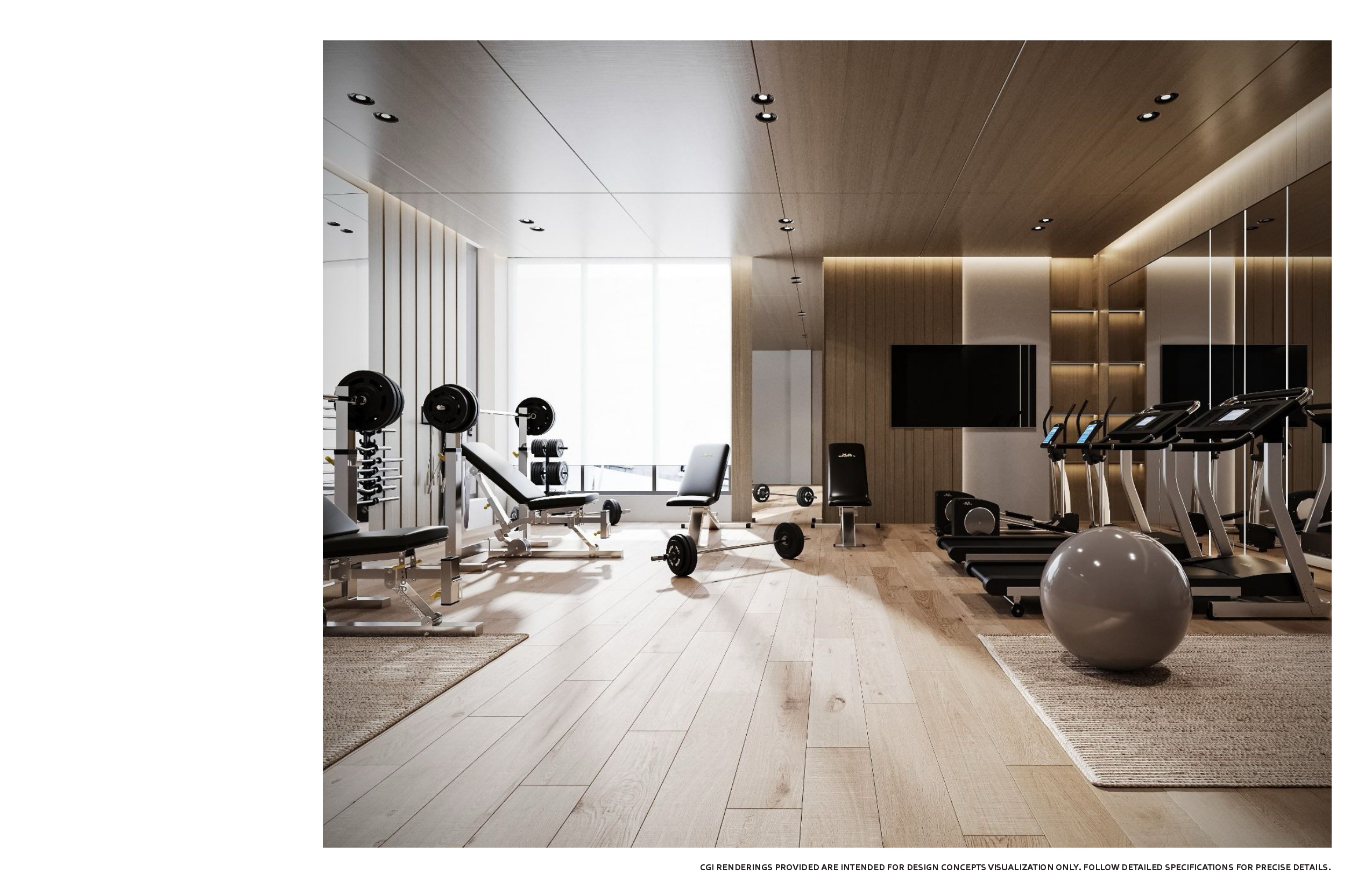 Fitness room in pale oak with mirrored walls, a timber-lined ceiling, weight benches and racks by a full-height frosted window, treadmills, a wall-mounted screen and an exercise ball on woven rugs