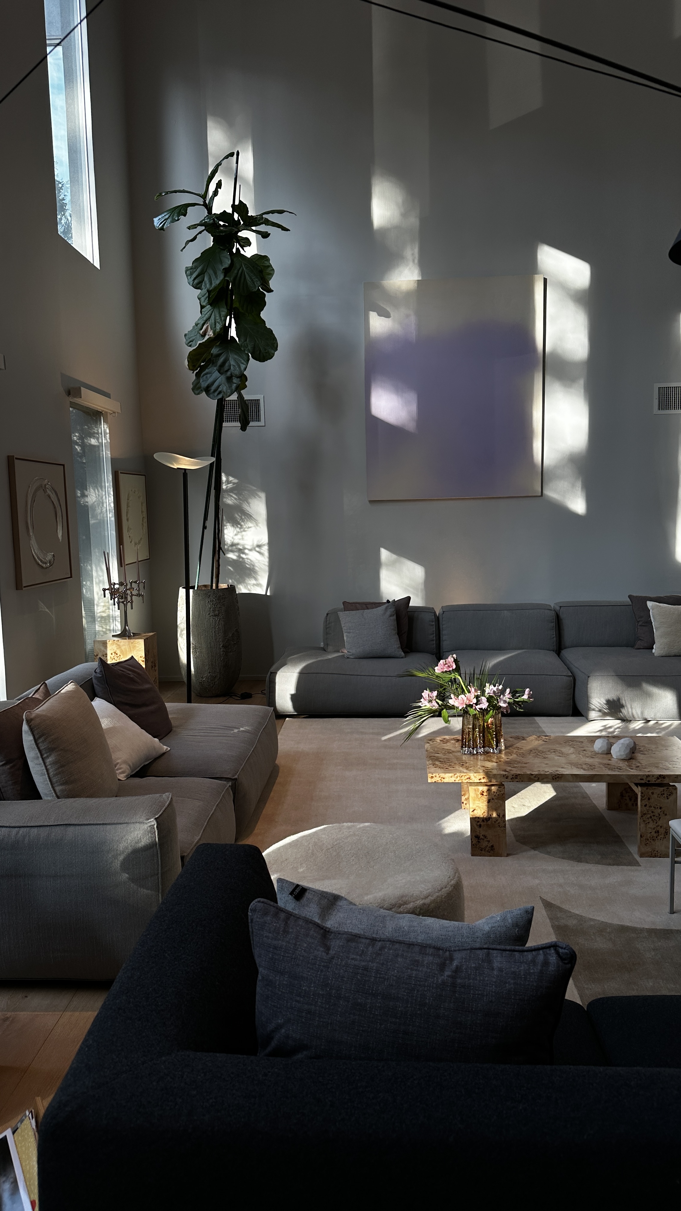 Living room in raking sunlight with grey and taupe modular sofas, a lilac abstract canvas, tall fiddle-leaf fig, burl stone coffee table with blossom and a bouclé pouf