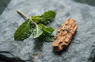 Crushed mint and sandalwood on cold stone