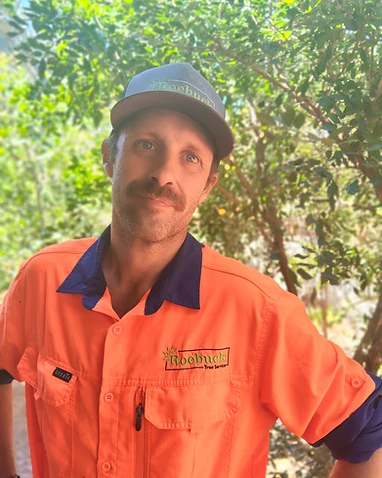 Damien Paterniti, Owner & Lead Arborist