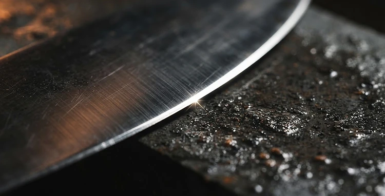 Close-up of a professionally sharpened stainless steel blade edge