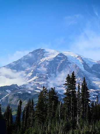 Mount Rainier's glacier-covered summit rising above evergreen trees