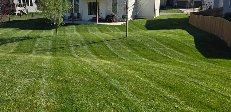 Freshly mowed backyard with professional striping