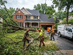 Storm damage cleanup