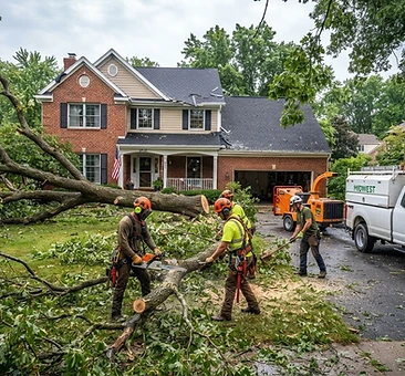 Storm Damage Cleanup