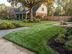 Property and brush cleanup